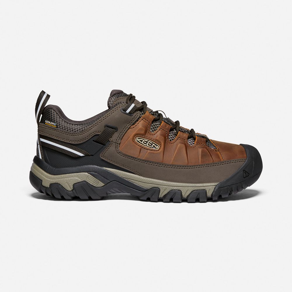 Keen Wandelschoenen Heren Bruin - Targhee Iii Waterproof - 30271-GBOF